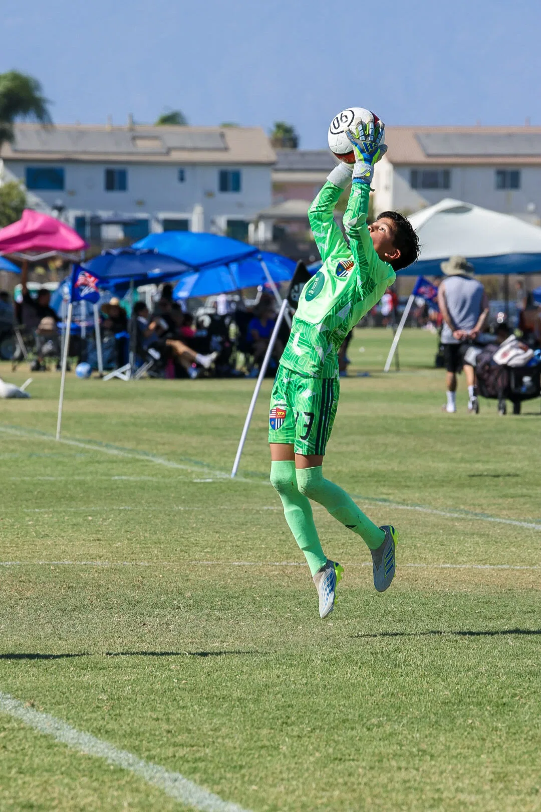 Under the Lights photo 5